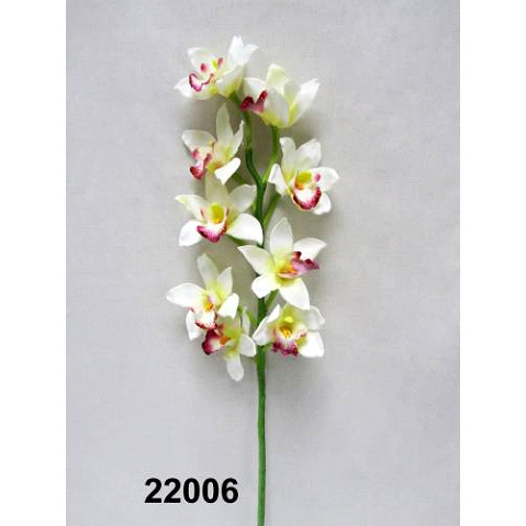 Цимбидиум 76 см.