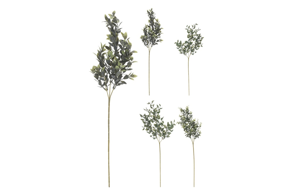 Веточка с листьями 317354070